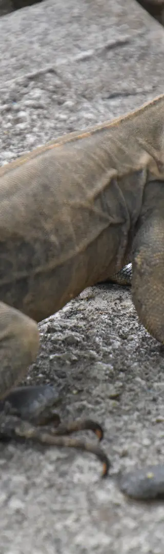 Leider doch keine spontane Reiseverlängerung